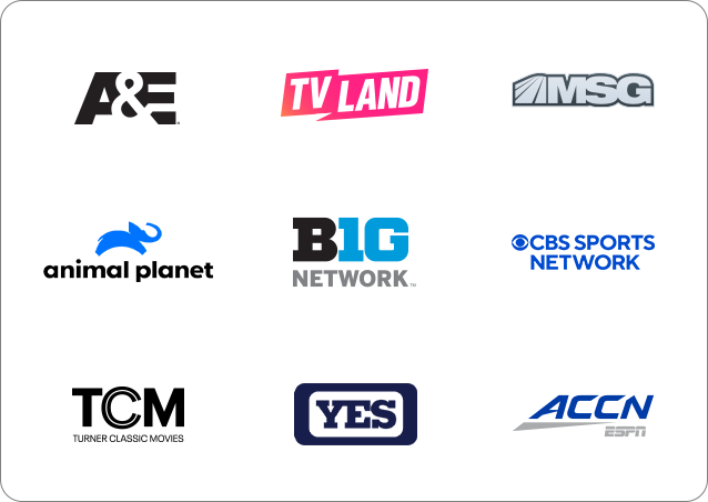 Everything TV channel lineup logos including sports and premium networks