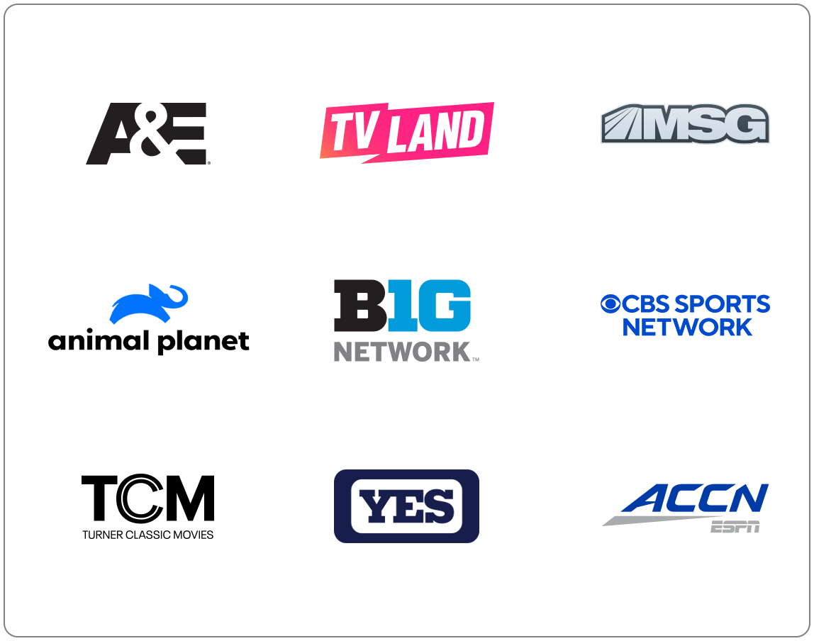 Everything TV channel lineup logos including sports and premium networks